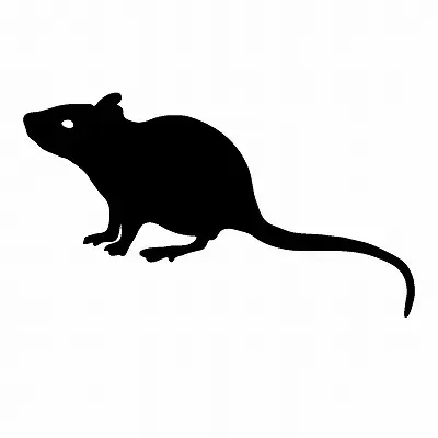 ネズミの動物霊