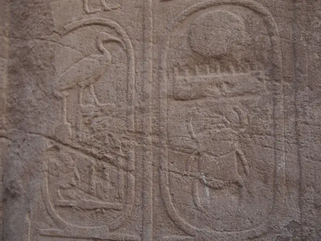 エジプトのスカラベの壁画の画像